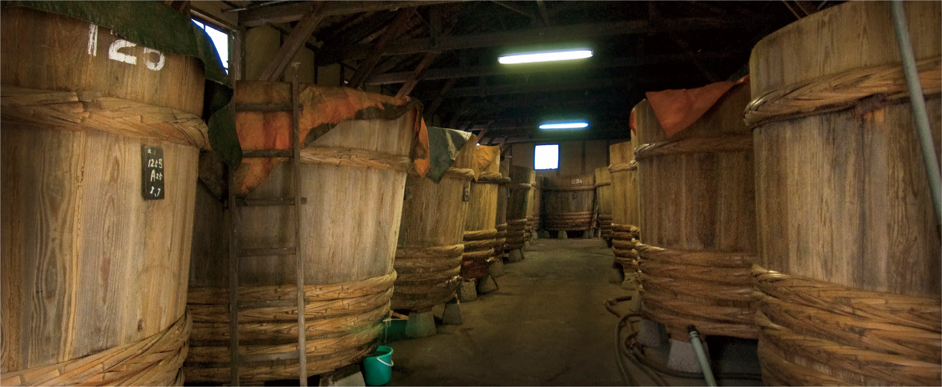 Fermented foods in Japan